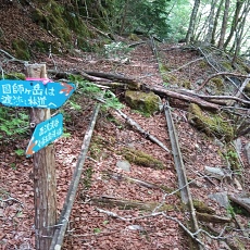 220528_p16.jpg