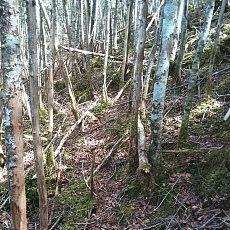 220528_p57.jpg