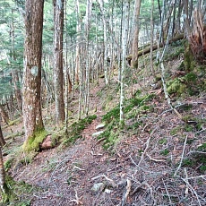 220528_p58.jpg