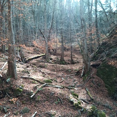 231123_p21.jpg