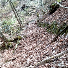 230502_p36.jpg
