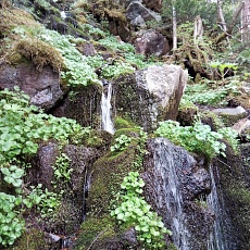 240612_p35.jpg