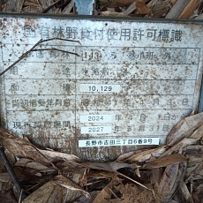 241022_p28.jpg