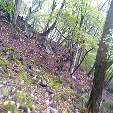 121027_p03.jpg