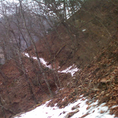 130303_p05.jpg
