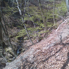 130414_p03.jpg