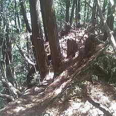 140504_p14.jpg