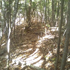 141011_p16.jpg