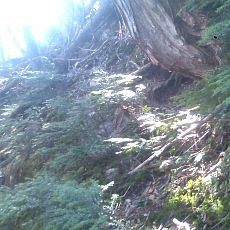 150430_p11.jpg