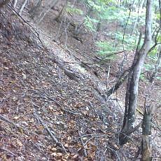 151010_p33.jpg