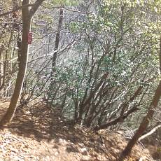 151121_p16.jpg