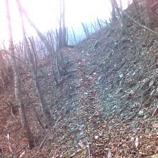 160109_p04.jpg