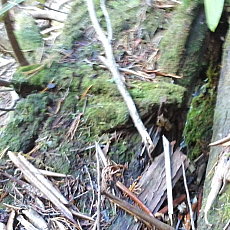 161015_p18.jpg