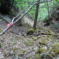 170617_p30.jpg