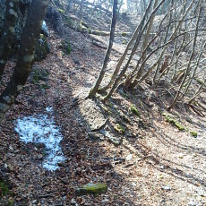 180329_p28.jpg