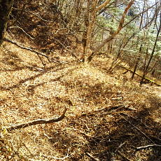 180422_p12.jpg