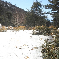 190420_p16.jpg