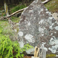 210612_p09.jpg