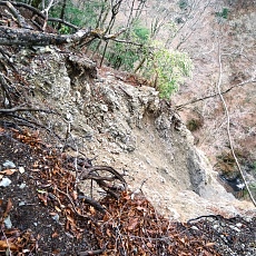 220416_p09.jpg