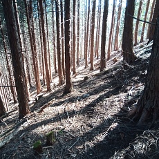 230304_p11.JPG