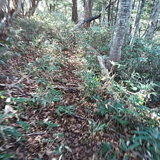 221112_p34.jpg
