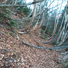 221028_p34.jpg