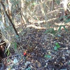 211020_p10.jpg
