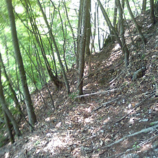 130526_p12.jpg