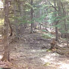160603_p27.jpg
