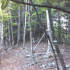 150605_p26.jpg