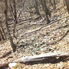 160419-02_p05.jpg