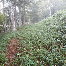 190921_p13.jpg