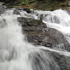 200621_p05.jpg