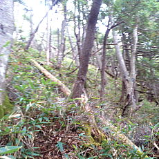 201004_p18.jpg