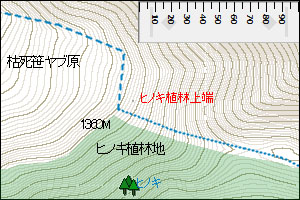 shirinashi02.jpg