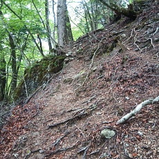 220515_p09.jpg