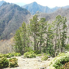 180412_p40.jpg