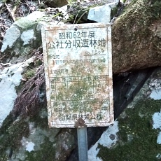 230304_p06.JPG