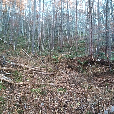 221112_p16.jpg