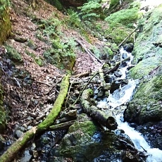 230618_p11.jpg