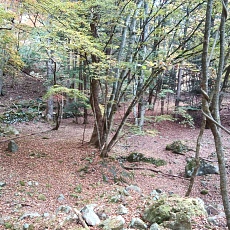 231030_p32.jpg