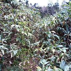 240612_p14.jpg