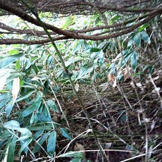 241112_p07.jpg
