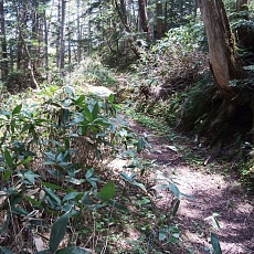 240612_p63.jpg
