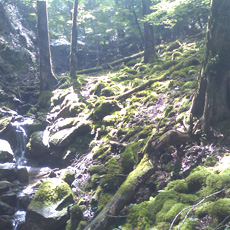 110815_p09.jpg
