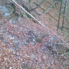 121110_p05.jpg