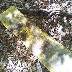 130517_p19.jpg