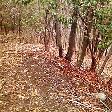 140419_p12.jpg