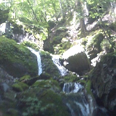 140712_p11.jpg