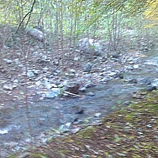 141020_p03.jpg